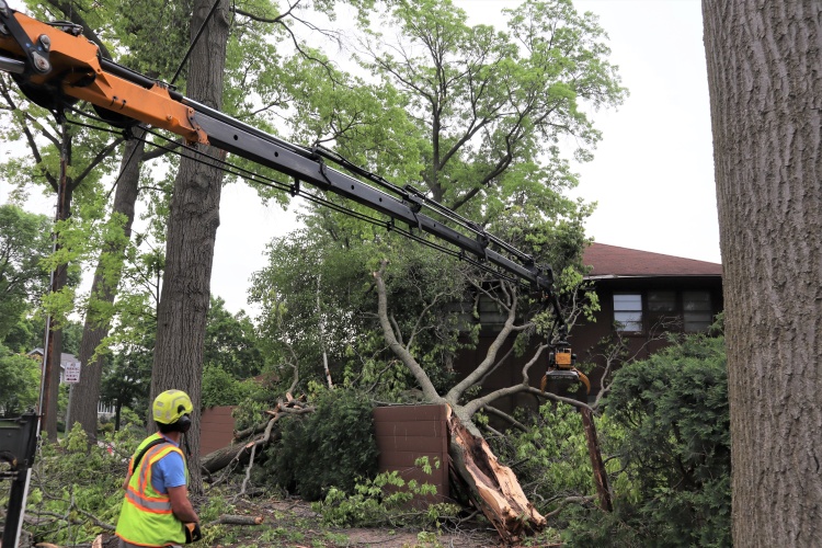 A specialized crane is grabbing onto a large tree limb that has fallen onto a house.  In the foreground, an arborist is safety gear is standing on the sidewalk. 